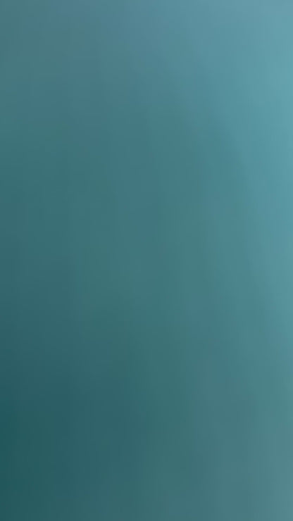 Books, Coffee, Antiques crewneck sweatshirt